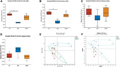 Network pharmacology and gut microbiota insights: unraveling Shenling Baizhu powder’s role in psoriasis treatment